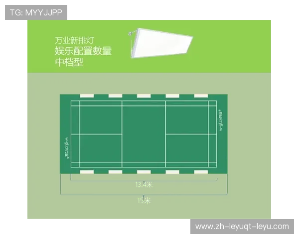 羽毛球所需高度