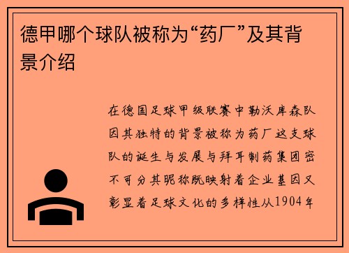 德甲哪个球队被称为“药厂”及其背景介绍
